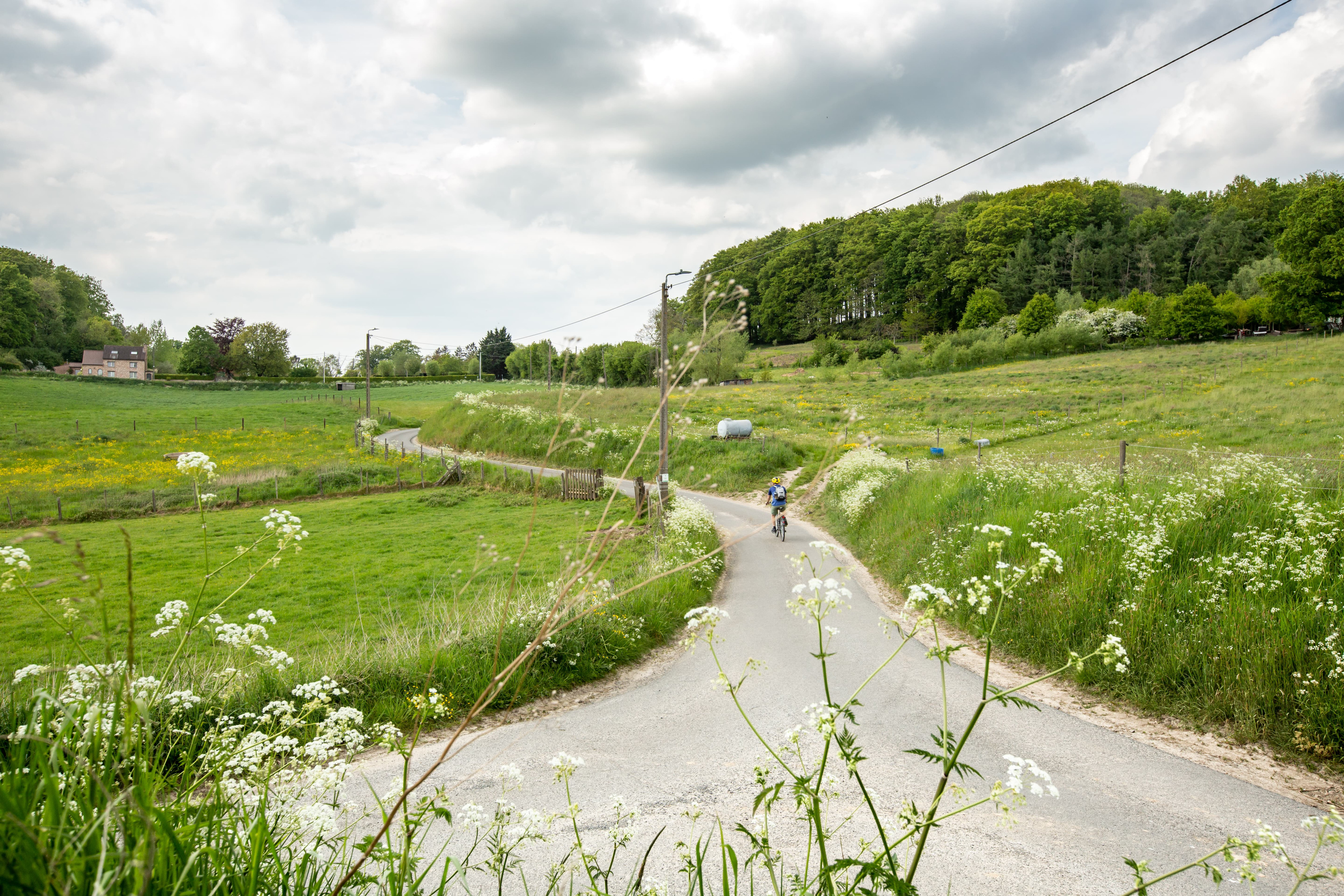 Geraardsbergen - Leuven3